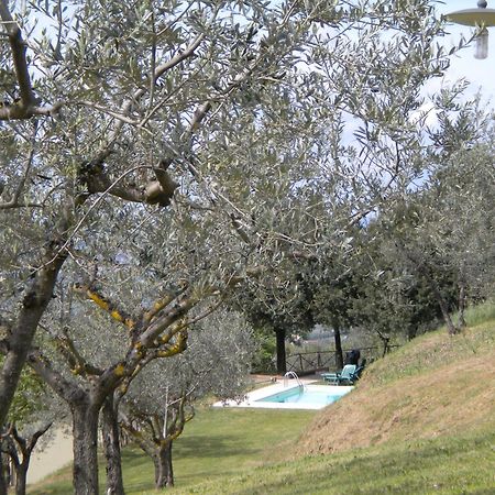 Il Poggio Delle Ginestre Guest House Torgiano Exterior photo